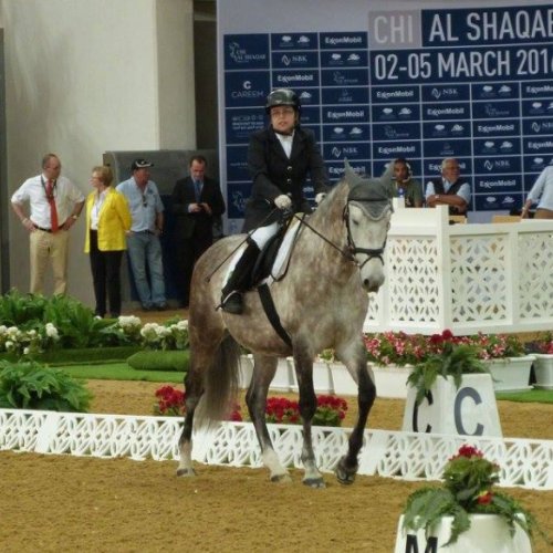 <p>CHI AL SHAQAB</p>