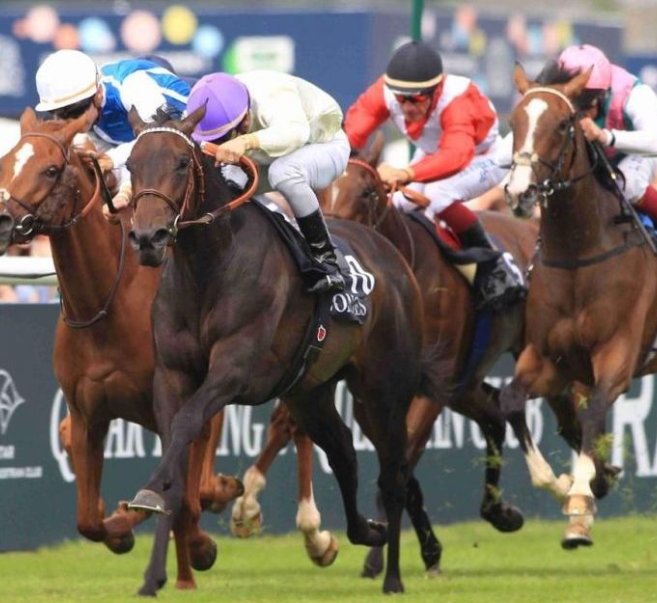 ARC DE TRIOMPHE - HIPPODROME DE CHANTILLY