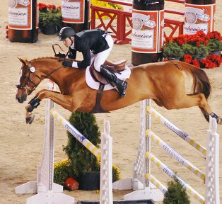 JUMPING CAVALOS MADRID