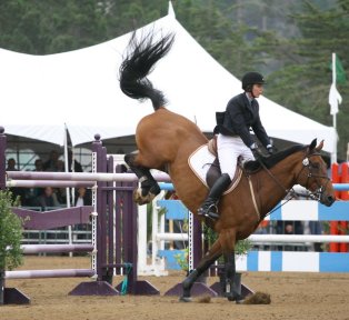 JUMPING CHEVAUX MADRID